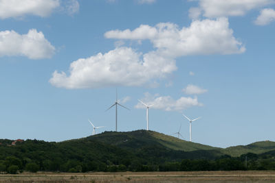 environmental conservation