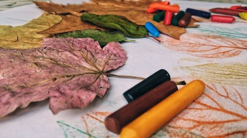 Close-up of leaves, crayons and drawing on table