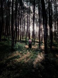 Rear view of woman on trees in forest