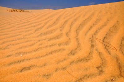 Scenic view of desert against sky