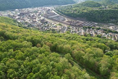 High angle view of road amidst trees and buildings in city