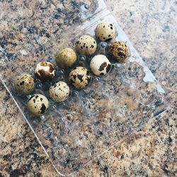 High angle view of quail eggs in plastic carton