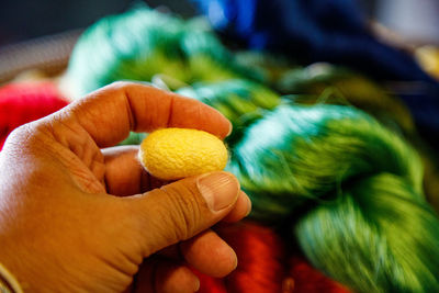 Close-up of hand holding cocoon 