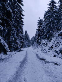 Snow covered road amidst trees against sky