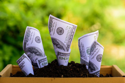 Close-up of paper currencies with sand in box at yard