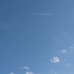 Low angle view of trees against blue sky