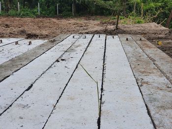 High angle view of footpath amidst trees on field