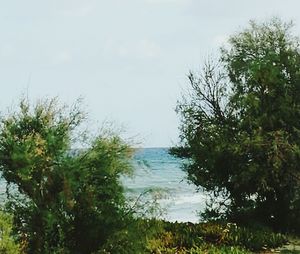 Scenic view of sea and trees against sky