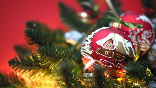 Close-up of christmas tree