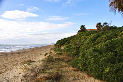 Scenic view of beach against sky