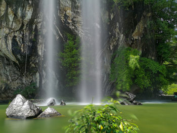 Scenic view of waterfall in forest