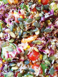 Full frame shot of multi colored flowers