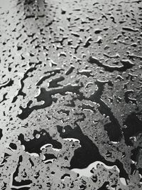 Full frame shot of wet surface