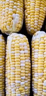 Full frame shot of yellow