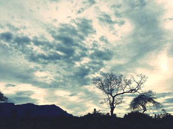 Low angle view of silhouette trees against sky during sunset