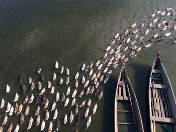 High angle view of boats in sea