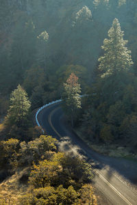 High angle view of road amidst trees in forest