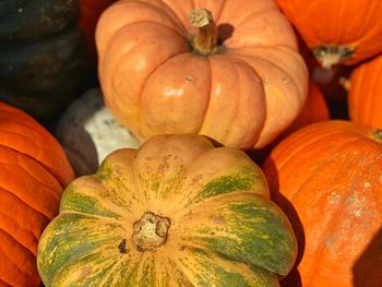 High angle view of pumpkins for sale at market