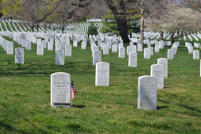 Row of cemetery