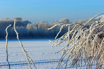 Scenic view of landscape against blue sky