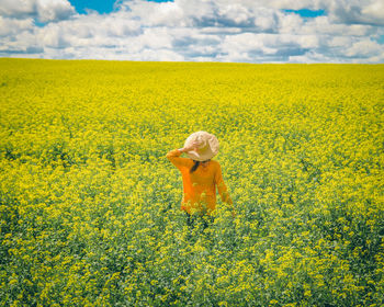 Scenic view of oilseed rape field
