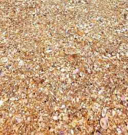 High angle view of stones on beach