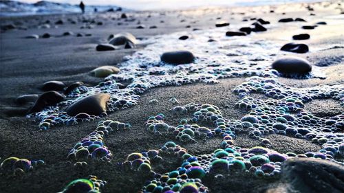 Close-up of bubbles on beach