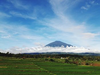 Scenic view of agricultural field with mountain in background