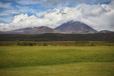 Scenic view of landscape against sky