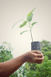 Close-up of hands holding plant outdoors