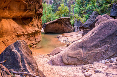 Scenic view of rock formation amidst trees