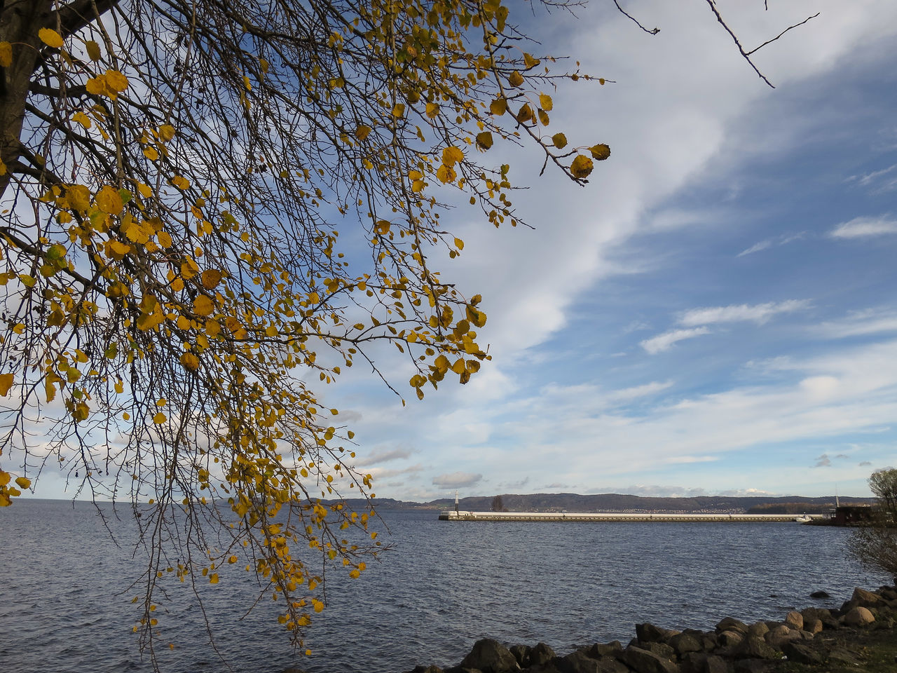 water, sky, cloud - sky, tree, lake, cloud, nature, cloudy, building exterior, river, beauty in nature, built structure, tranquility, branch, scenics, architecture, tranquil scene, waterfront, reflection, growth