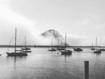 Sailboats moored in sea against sky