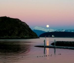 Scenic view of sea against clear sky during sunset