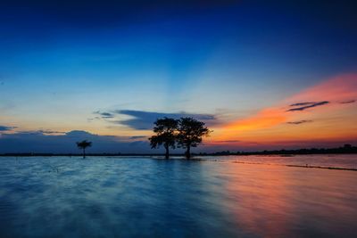 Silhouette trees by sea against sky during sunset