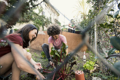 Cheerful friends working together in community garden
