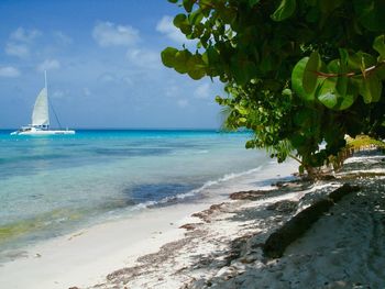 View of beach