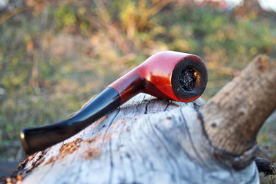 Close-up of smoking pipe on log