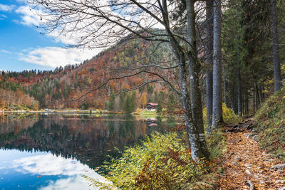 Reflection of trees in lake during autumn