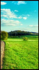 Scenic view of grassy field against sky