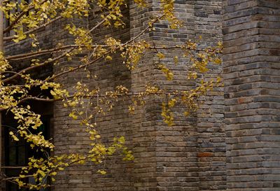 Low angle view of weathered brick wall