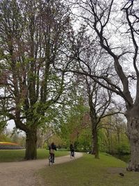 People riding bicycle on landscape against trees