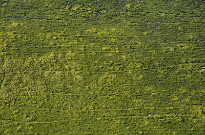 Full frame shot of a green side of a dyke. devil's dyke, south downs