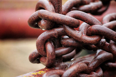 Close-up of rusty chain