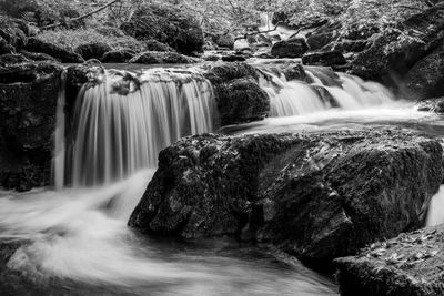 Scenic view of waterfall in forest