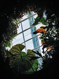 Low angle view of trees and building against sky