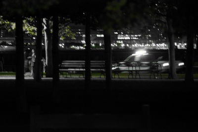 Illuminated street lights in park at night