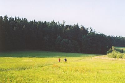 Scenic view of grassy landscape