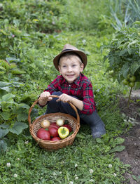 High angle view of boy picking apples
