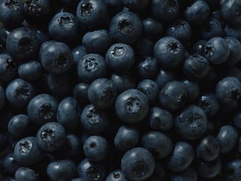 Full frame shot of blueberries